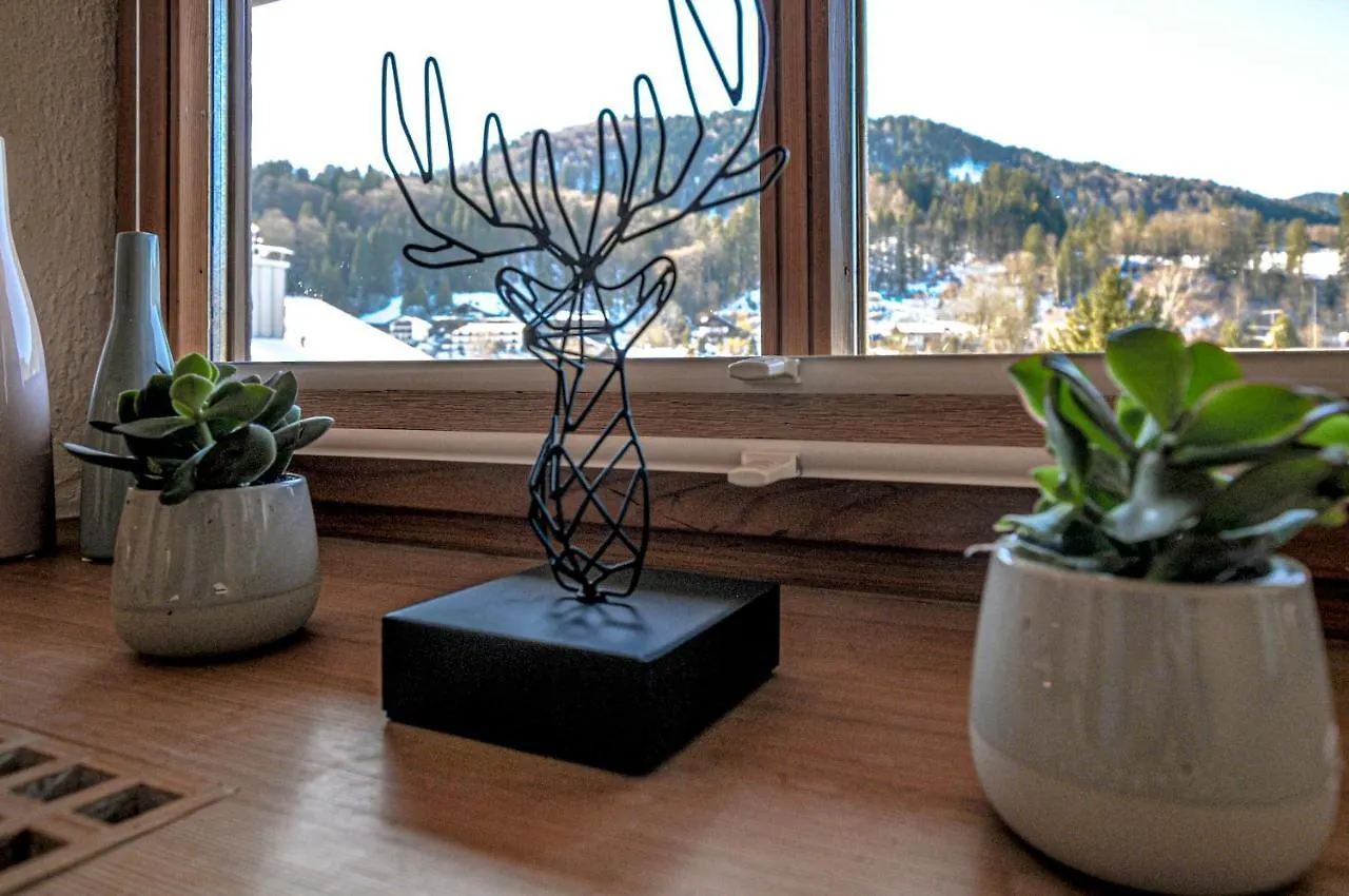 Apartment Ferienwohnung 